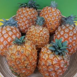 Leckere Azoren-Ananas