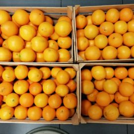 Die superleckeren Winterorangen sind da