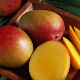 Die superleckeren Mangos aus Burkina Faso kommen bald